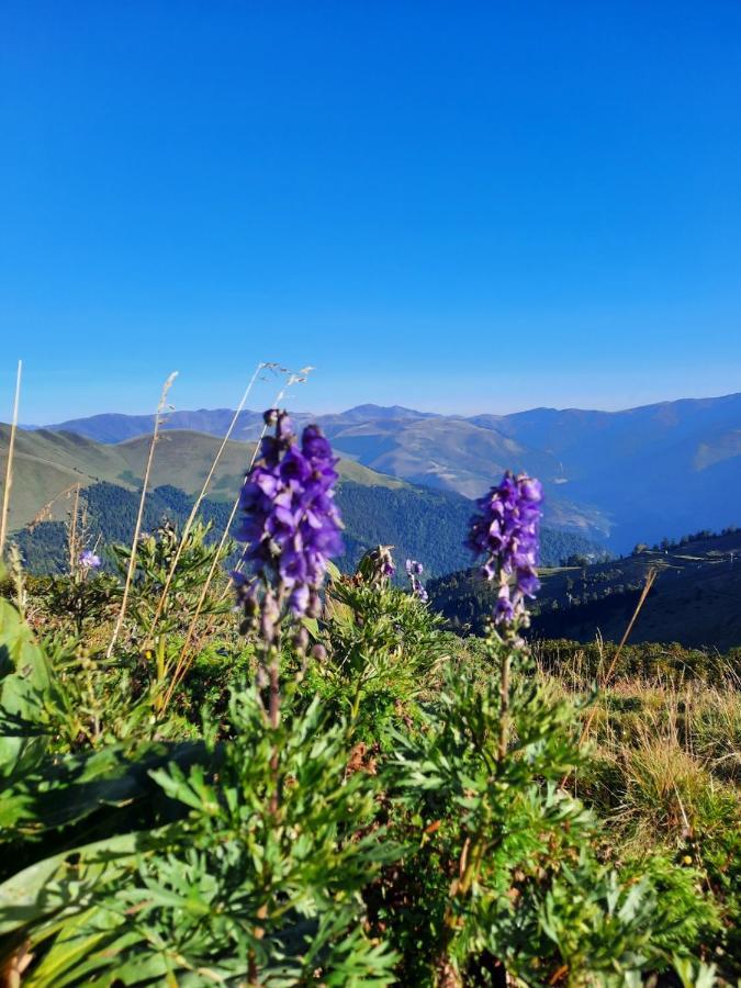 Plein Sud Διαμέρισμα Saint-Aventin Εξωτερικό φωτογραφία