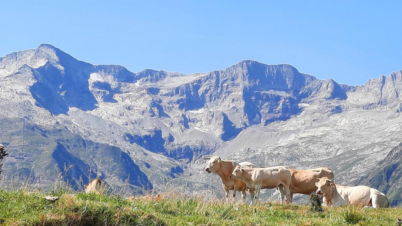 Plein Sud Διαμέρισμα Saint-Aventin Εξωτερικό φωτογραφία